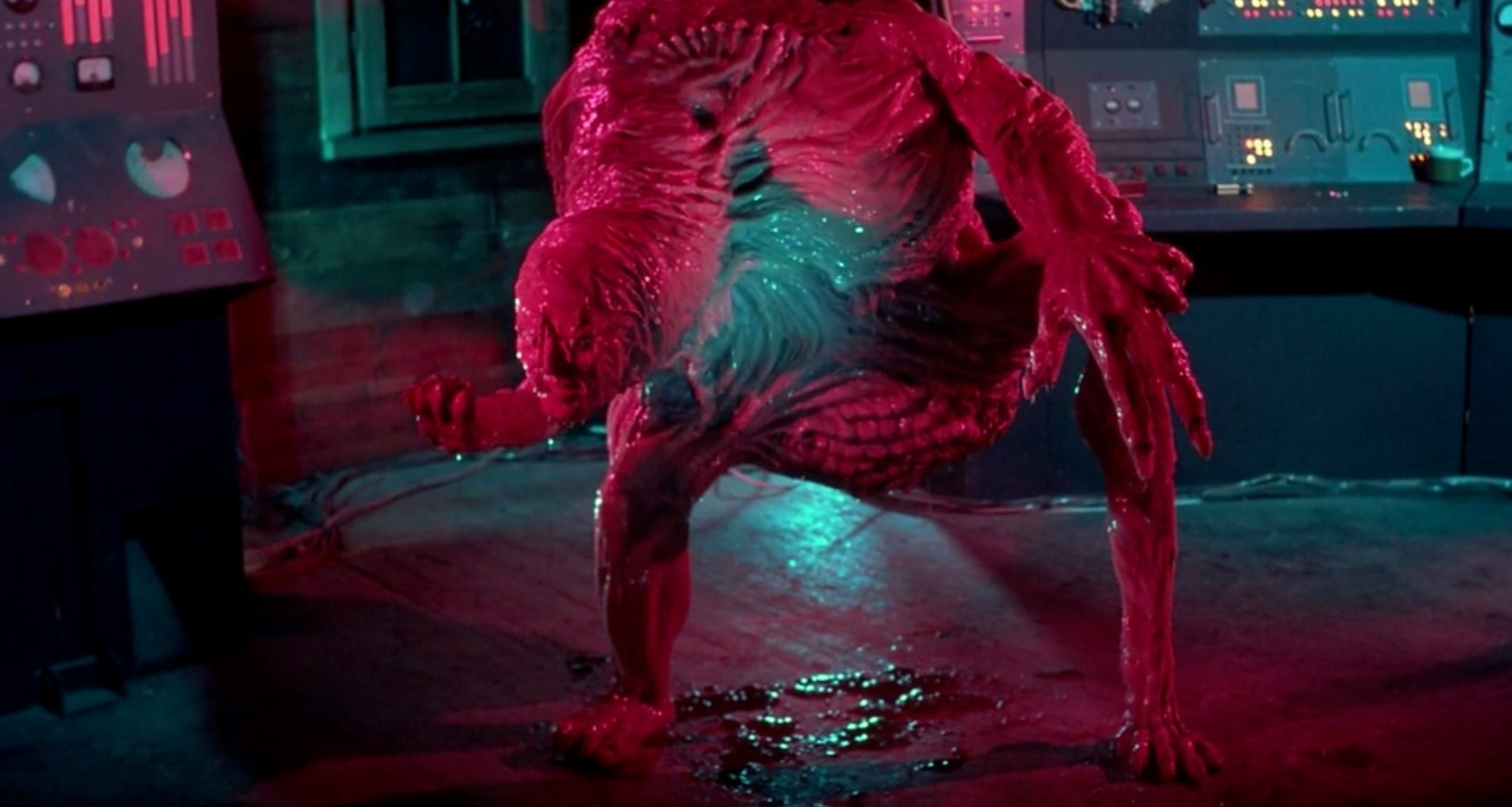 body horror movies