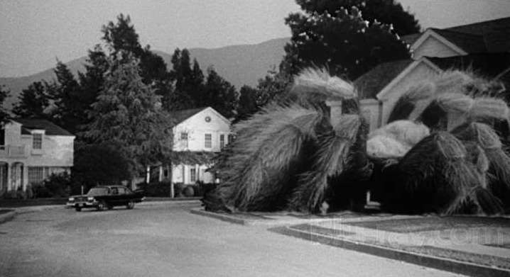 monster movie