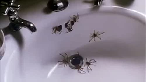 spider horror