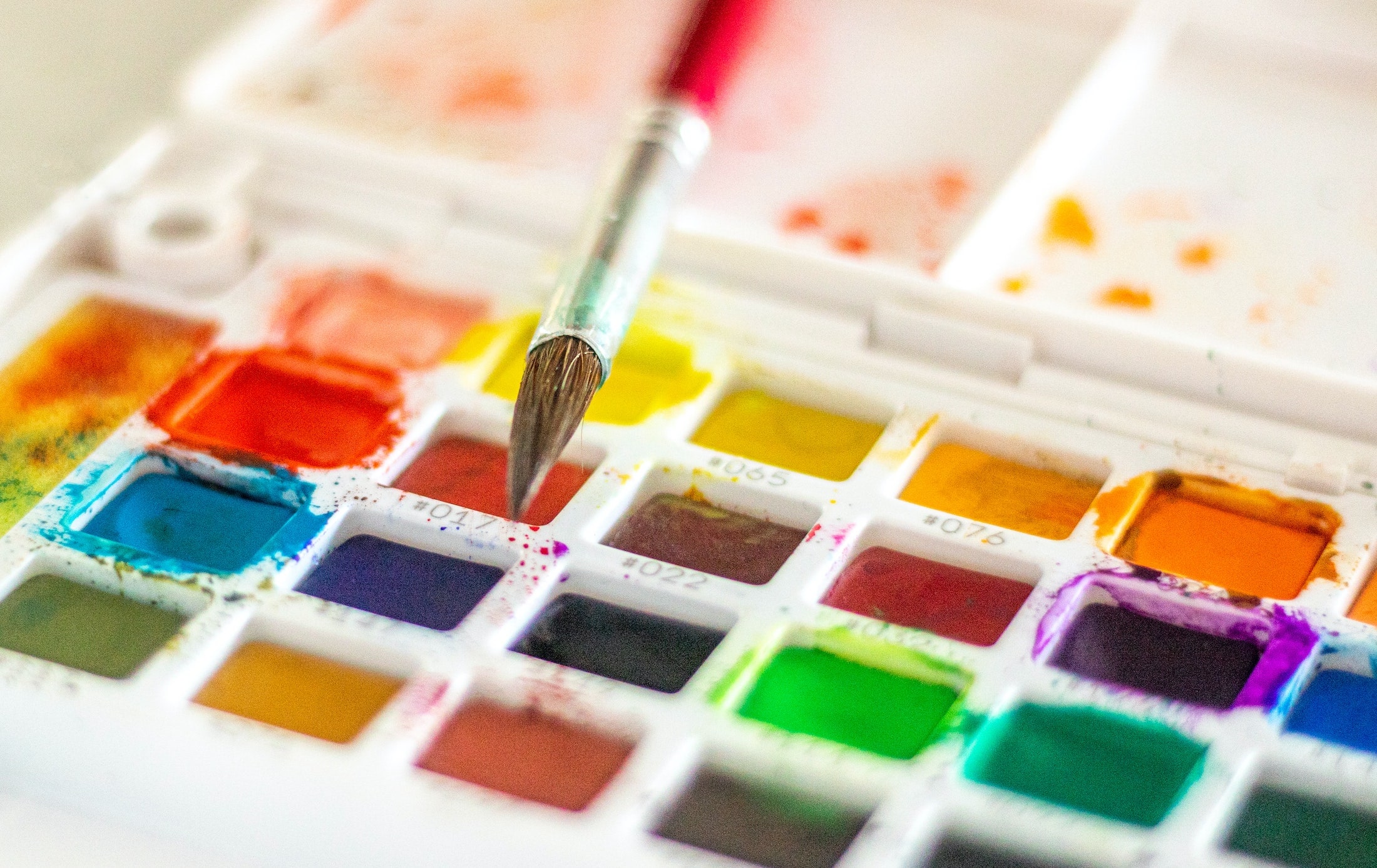 best watercolor paints
