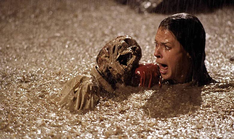 Poltergeist cursed horror films