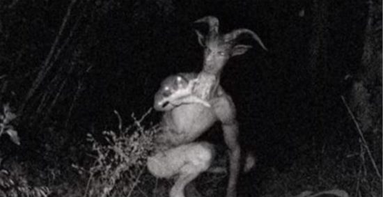 The Legendary Goatman Discovering The Stories Behind The Lore the-legendary-goatman-discovering-the-stories-behind-the-lore