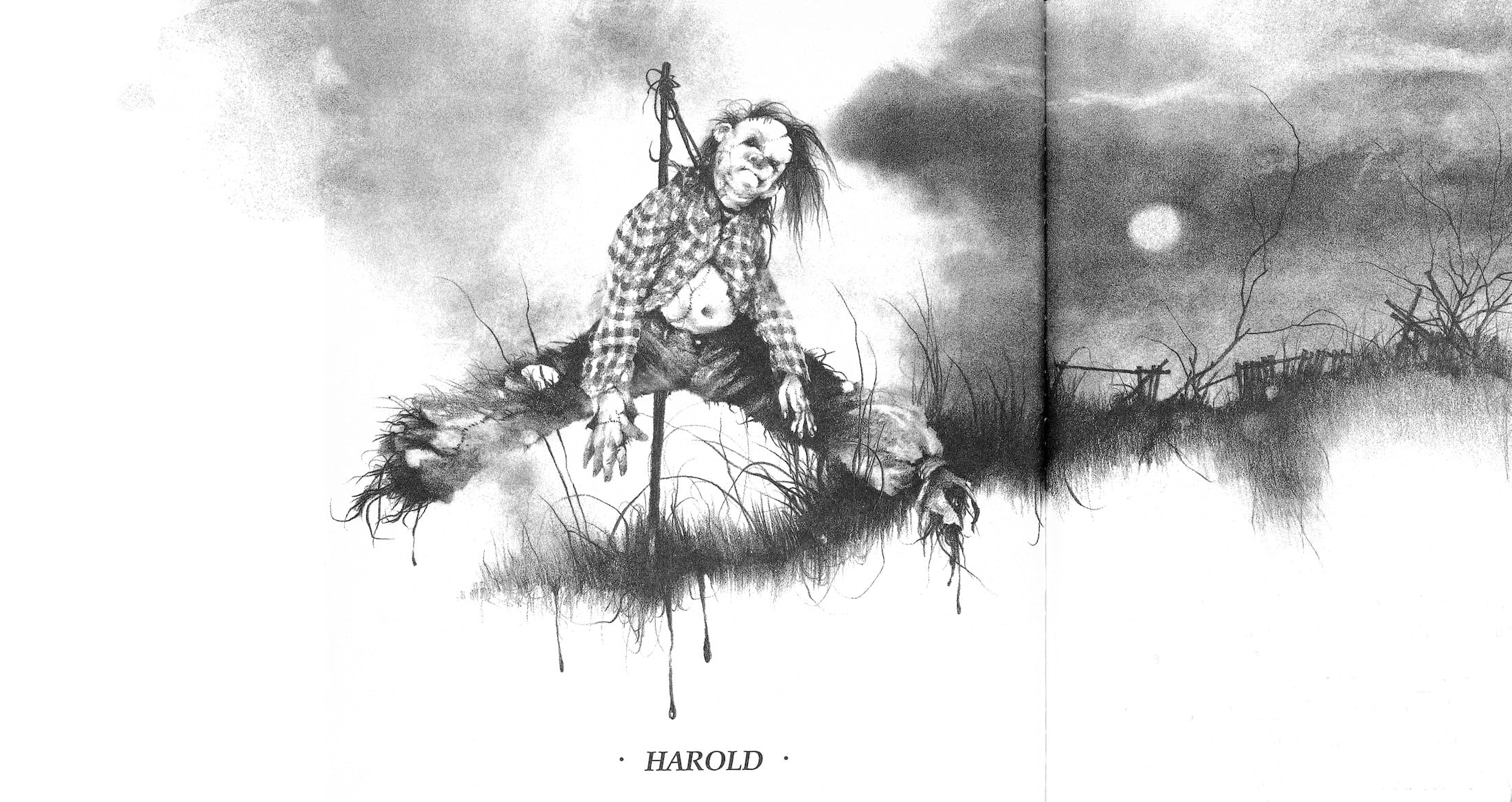 Harold in Scary Stories to Tell in the Dark, illustration by Stephen Gammell