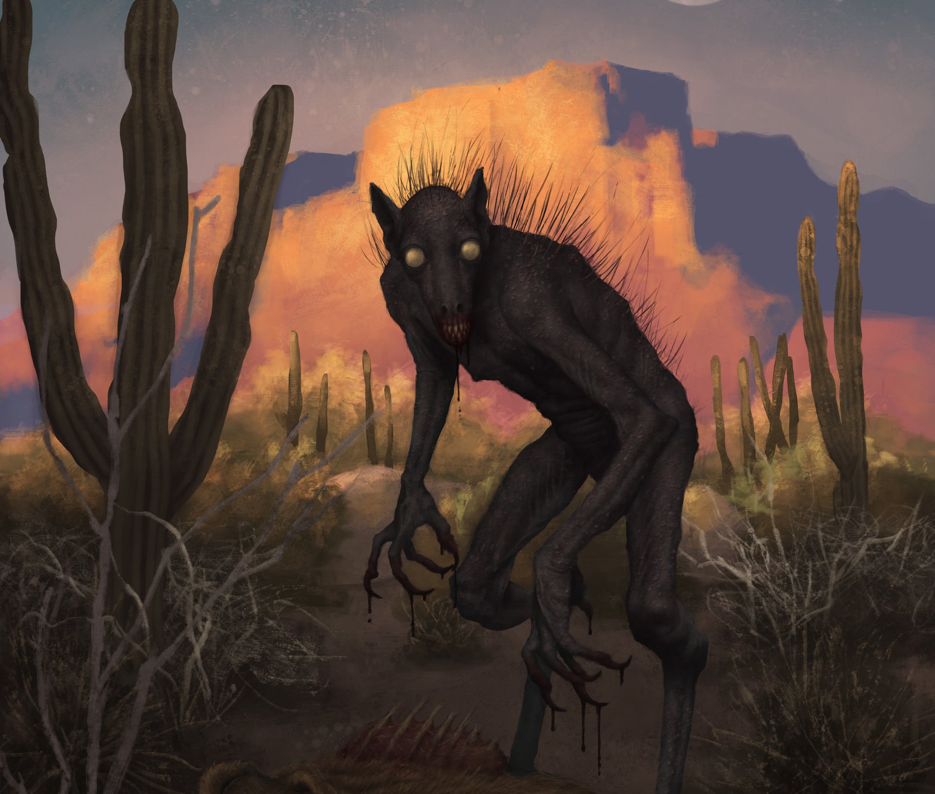 Chupacabra or a mexican hairless?