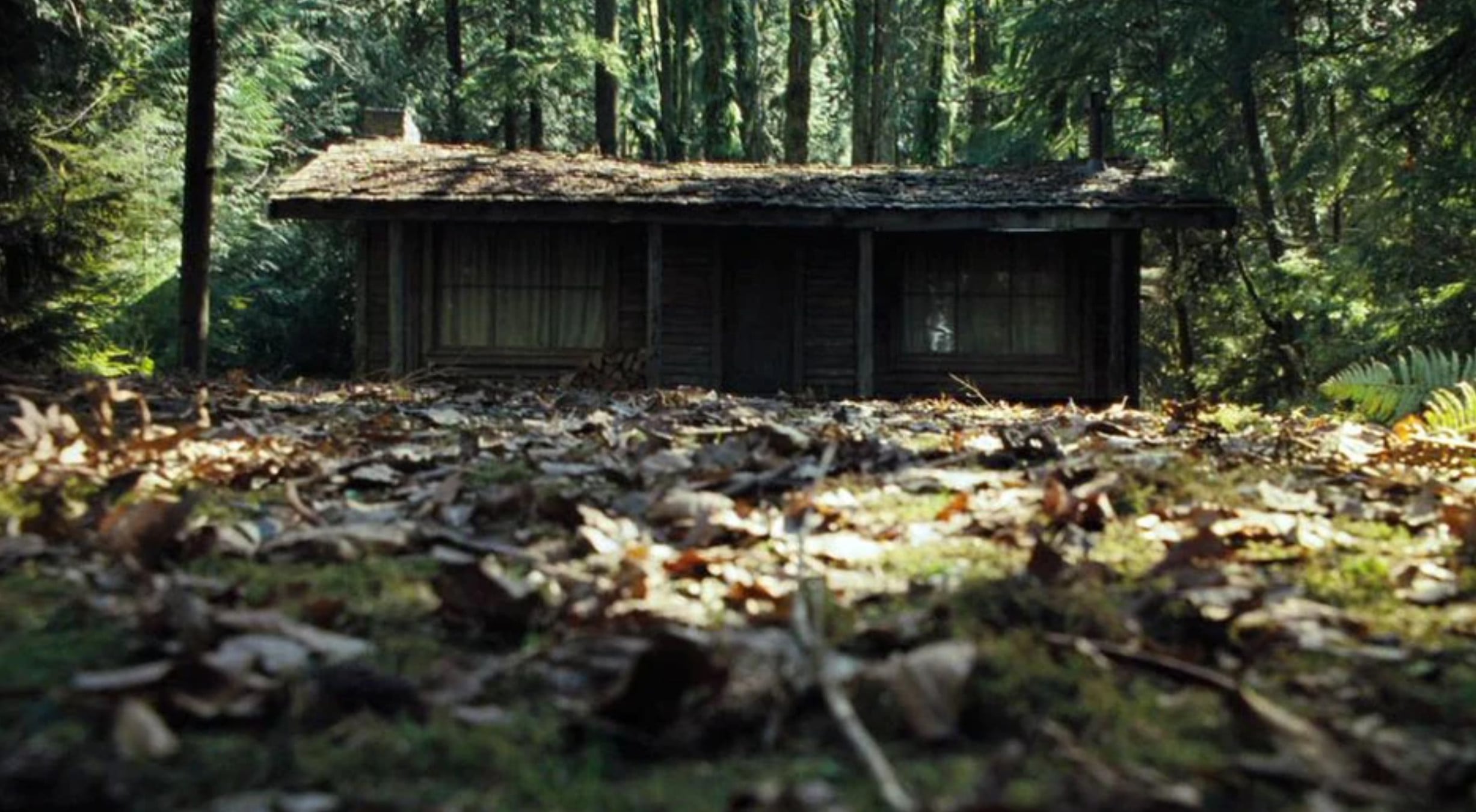 Лес живой дом. Хижина в лесу \ the Cabin in the Woods (2012). Хижина в лесу 2011 монстры.